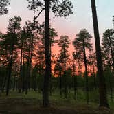 Review photo of Payson Campground & RV Resort by Christina L., July 27, 2020