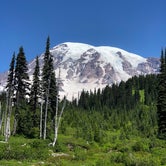 Review photo of Cougar Rock Campground — Mount Rainier National Park by Jeff K., July 27, 2020