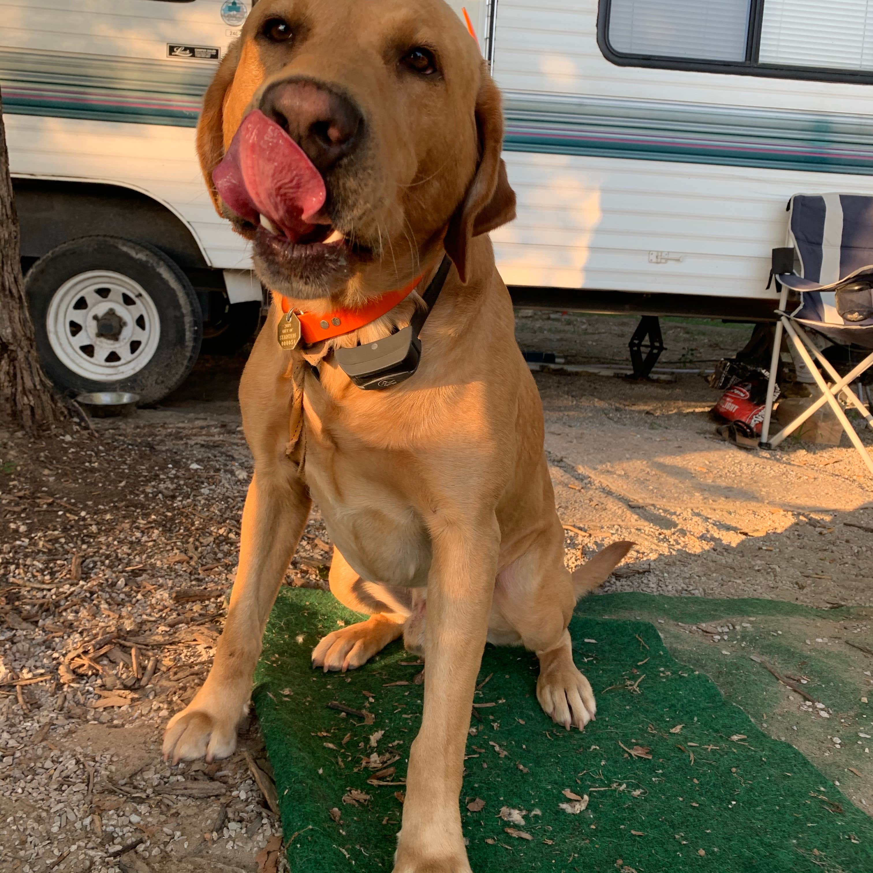 Shawn A.'s photo of rv camping at Cooper’s Landing Campgrounds and Marina near Sturgeon, MO