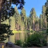 Review photo of Balch Park Campground - TEMPORARILY CLOSED by Jamie B., July 27, 2020