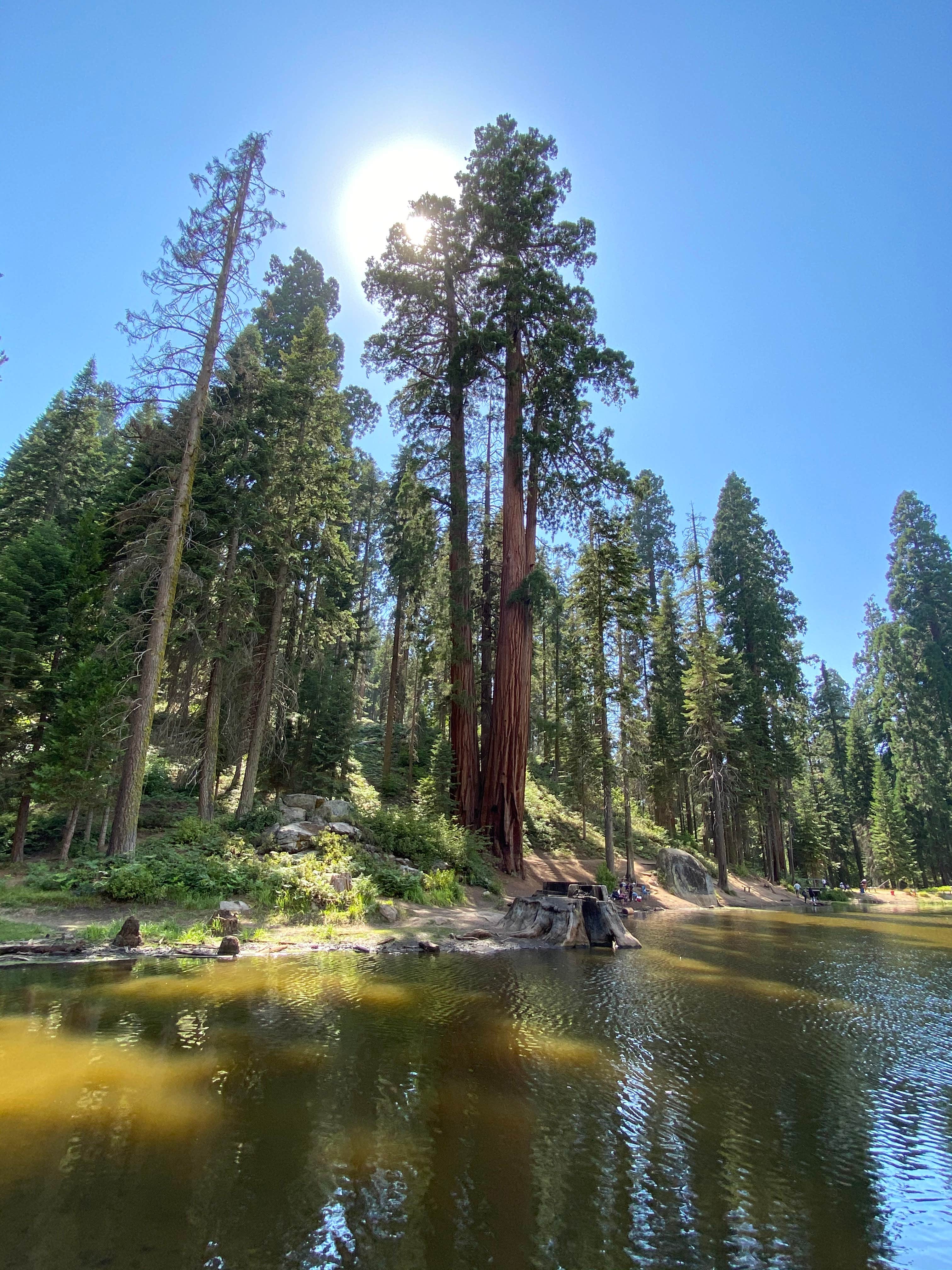 Balch Park Campground Camping The Dyrt