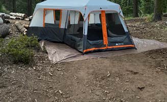 Jamie B.'s photo at Balch Park Campground near Sunland, CA