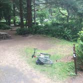 Review photo of Sunset Bay State Park Campground by Bjorn S., July 27, 2020