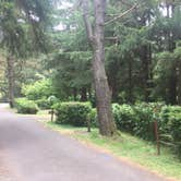 Review photo of Sunset Bay State Park Campground by Bjorn S., July 27, 2020