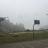 Review photo of Sunset Bay State Park Campground by Bjorn S., July 27, 2020