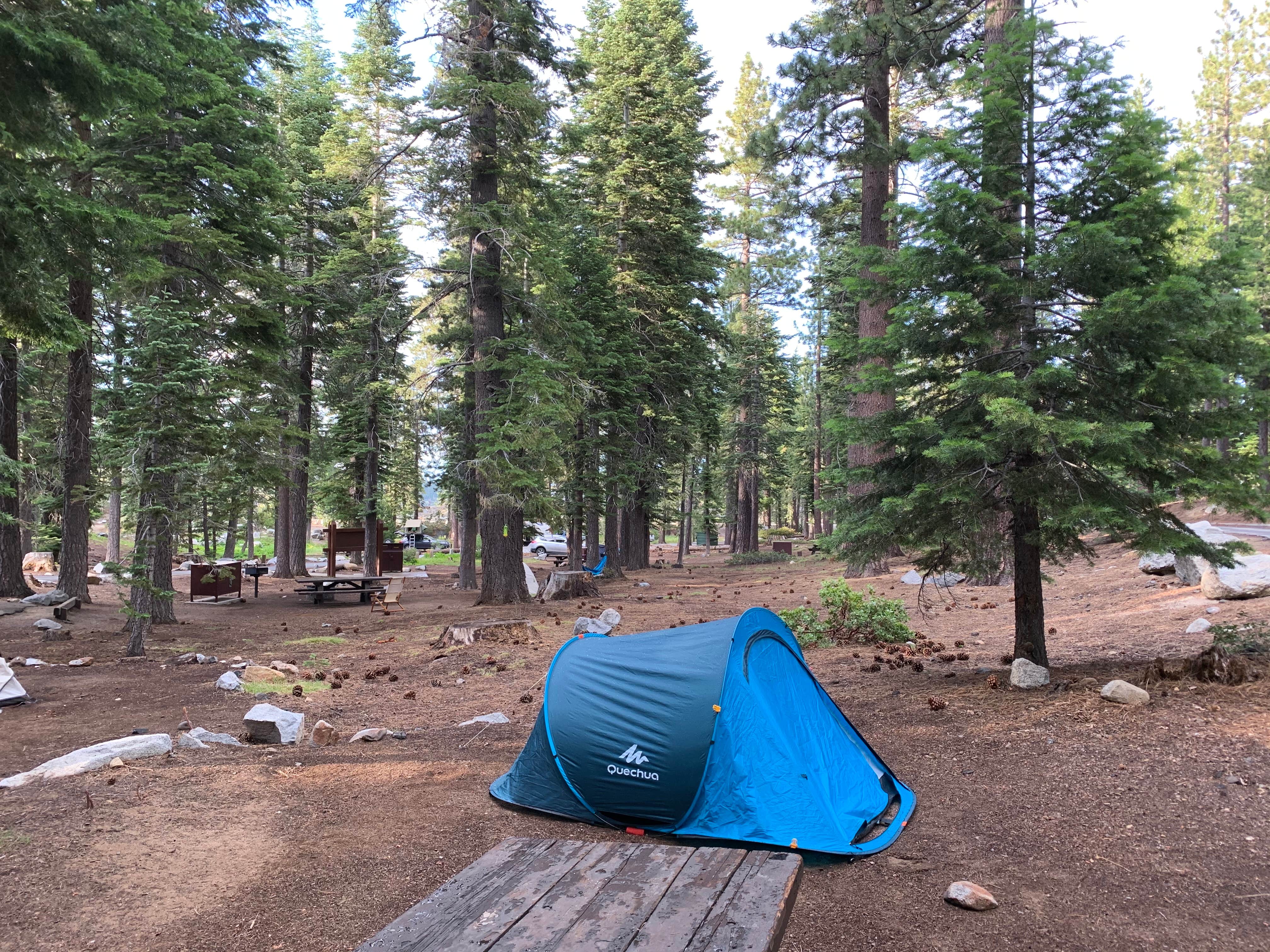 Erica P.'s photo at Bayview Campground - PERMANENTLY CLOSED near Echo Lake, CA