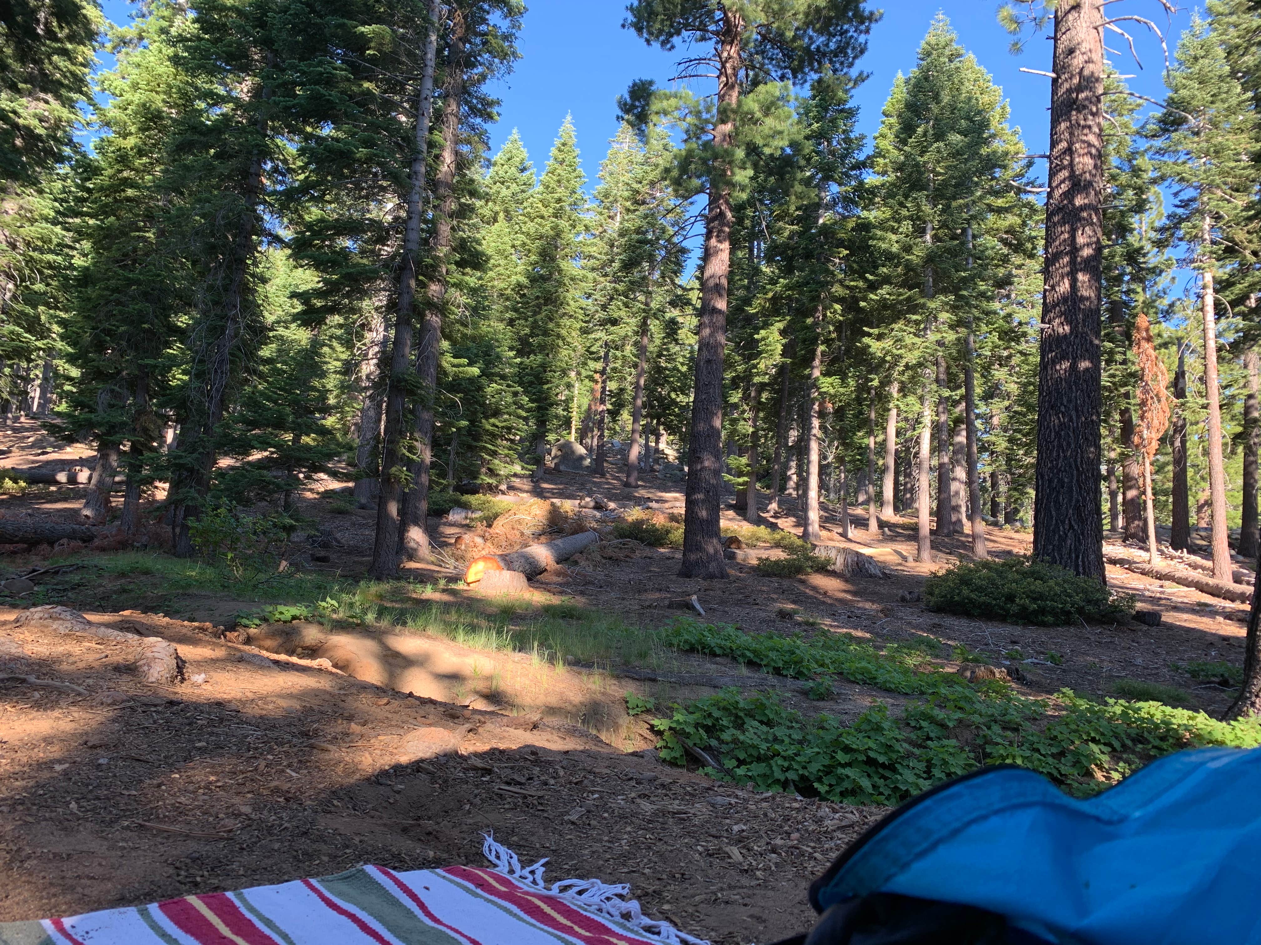 Erica P.'s photo at Bayview Campground - PERMANENTLY CLOSED near Zephyr Cove, NV