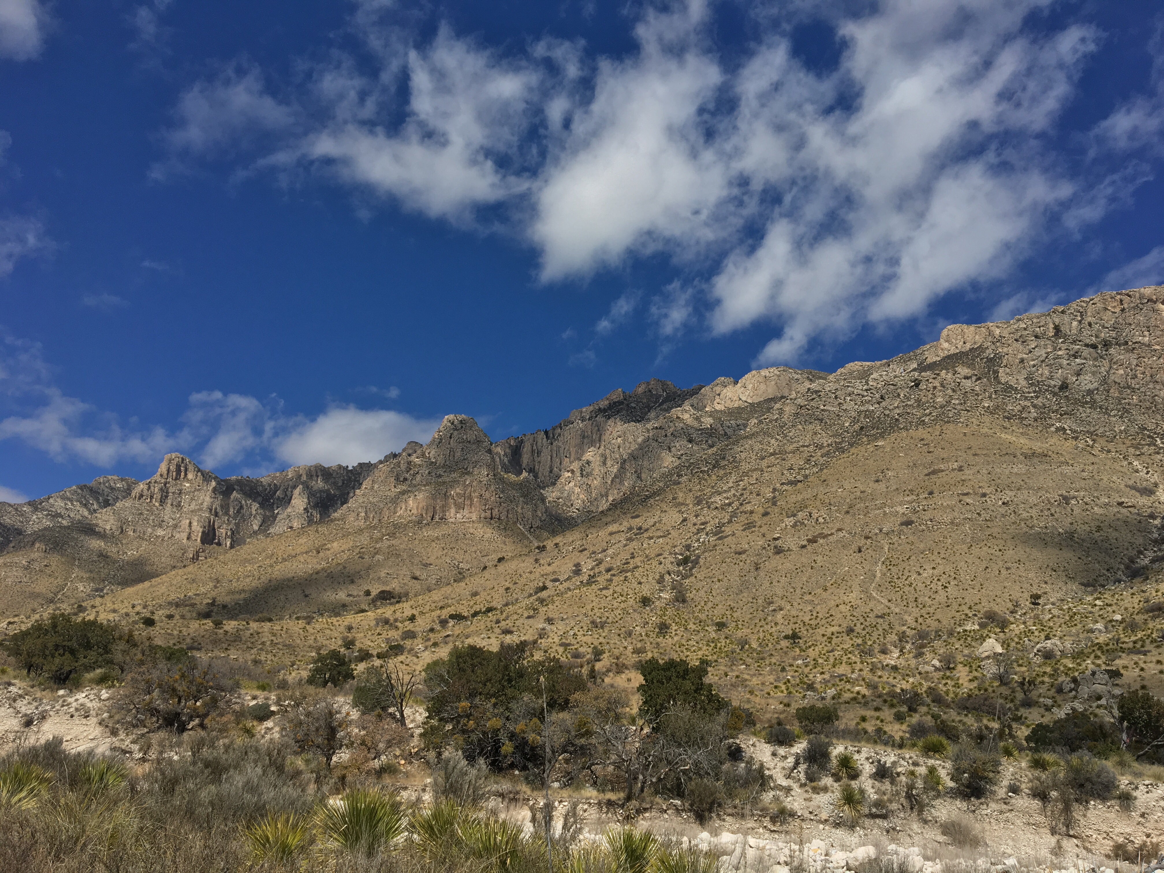 Camper submitted image from Tejas Wilderness Campground — Guadalupe Mountains National Park - 3