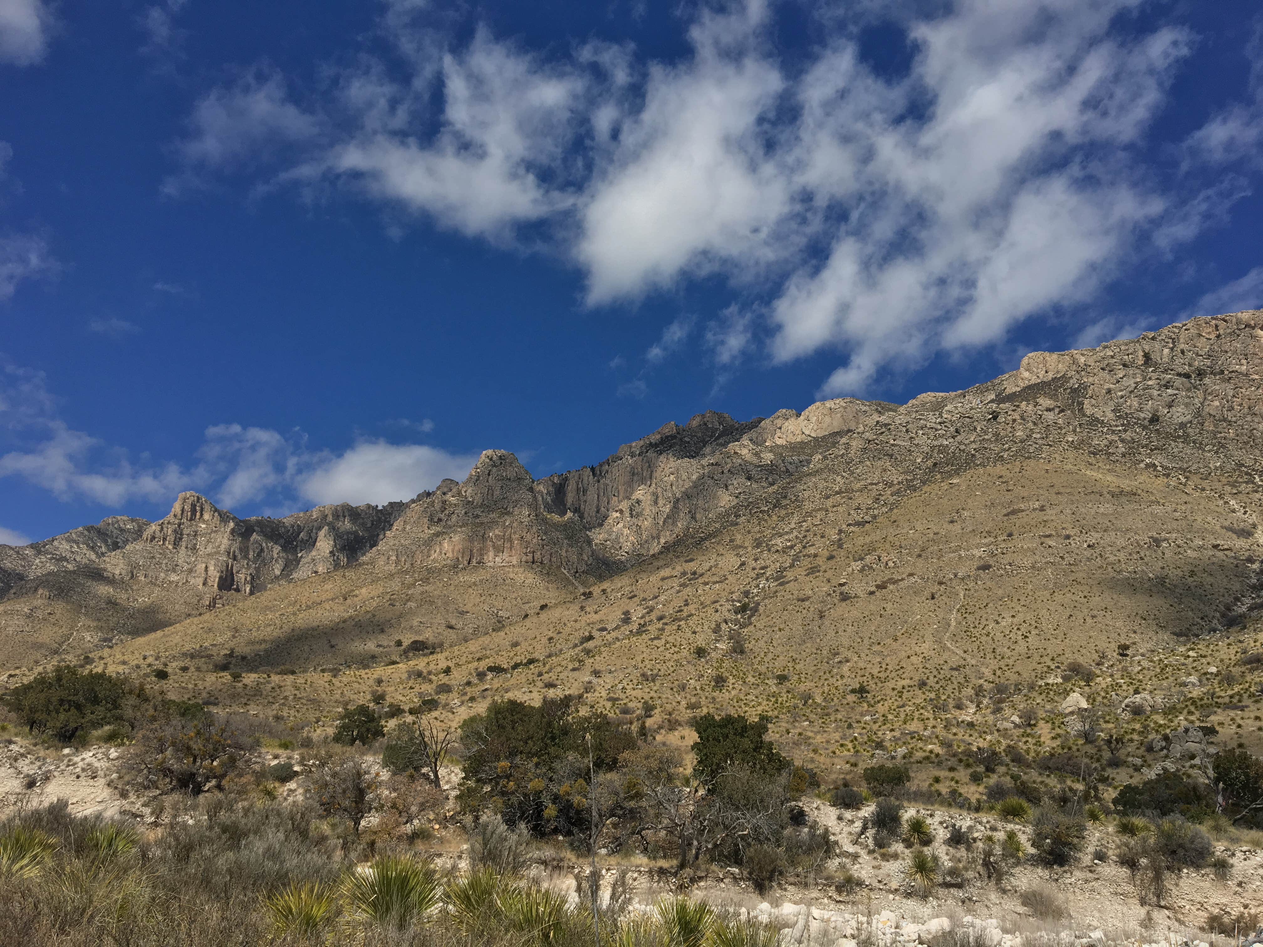 View All