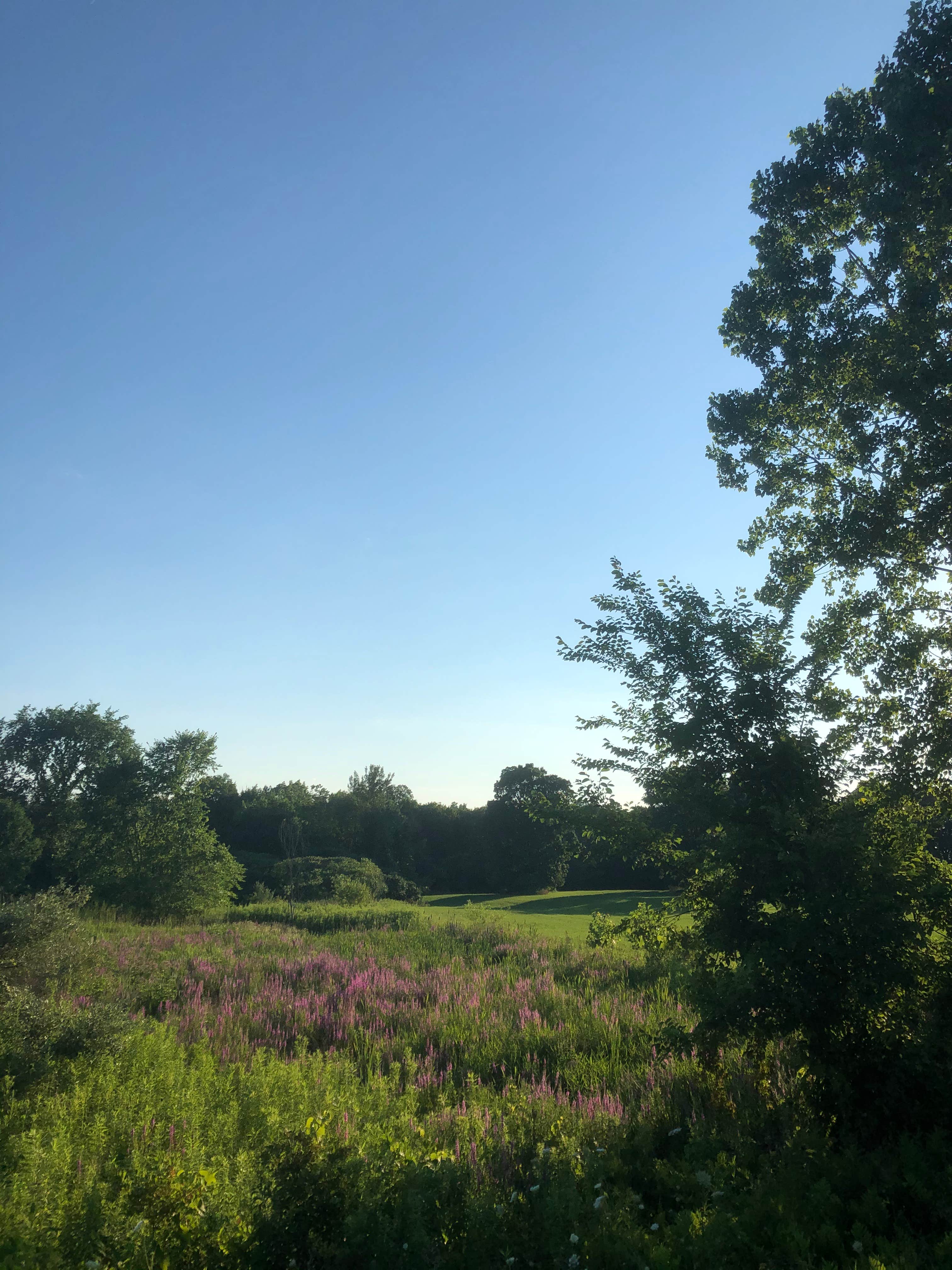 Camper-submitted photo at Lee's Park Campground near Saratoga Springs, NY