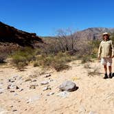 Review photo of Virgin River Gorge (BLM) by Colette K., March 27, 2018