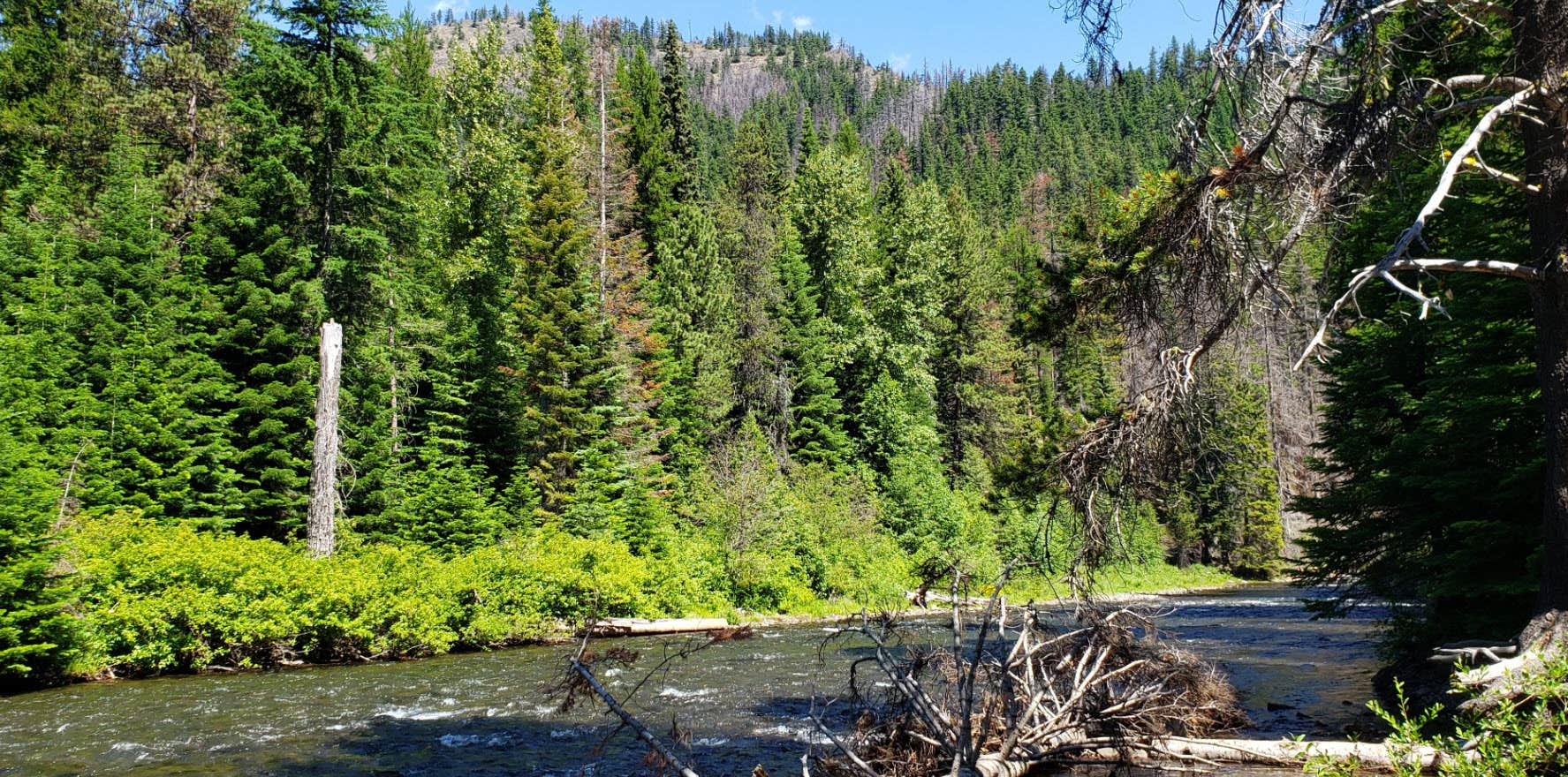 Camper submitted image from Hells Crossing Campground - 4