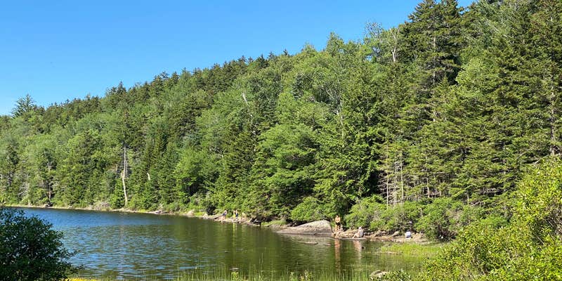 Camper submitted image from Little Rock Pond Group Camp & Shelters