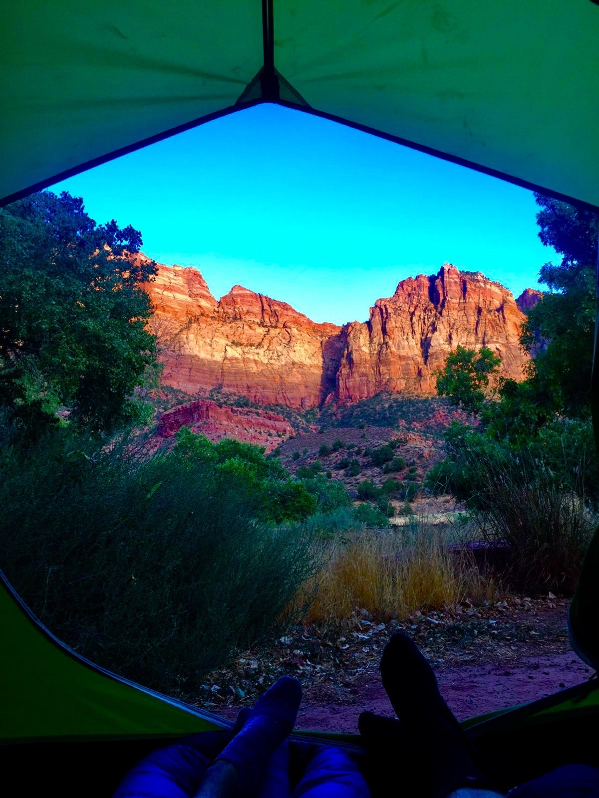 View from the tent.