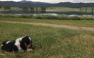 Taylor W.'s photo of camping with pets at Sugarloaf Campground — Lake Cascade State Park near New Meadows, ID