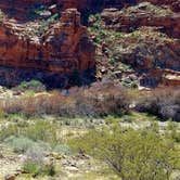 Review photo of Virgin River Gorge (BLM) by Colette K., March 27, 2018