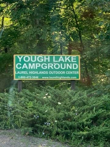 Camper submitted image from Yough Lake Campground at Tub Run - 2