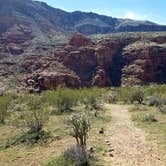 Review photo of Virgin River Gorge (BLM) by Colette K., March 27, 2018