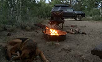 Jason J.'s photo at Obsidian Campground near Wellington, NV