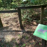 Review photo of Martinak State Park Campground by Laure D., July 27, 2020