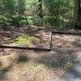 Review photo of Martinak State Park Campground by Laure D., July 27, 2020