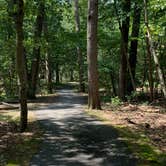 Review photo of Martinak State Park Campground by Laure D., July 27, 2020