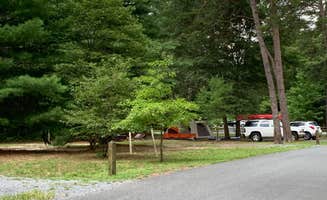 Laure D.'s photo of rv camping at Martinak State Park Campground near Rock Hall, MD