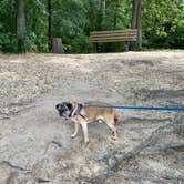 Review photo of Martinak State Park Campground by Laure D., July 27, 2020