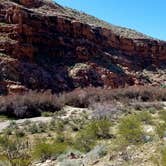 Review photo of Virgin River Gorge (BLM) by Colette K., March 27, 2018