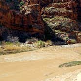 Review photo of Virgin River Gorge (BLM) by Colette K., March 27, 2018