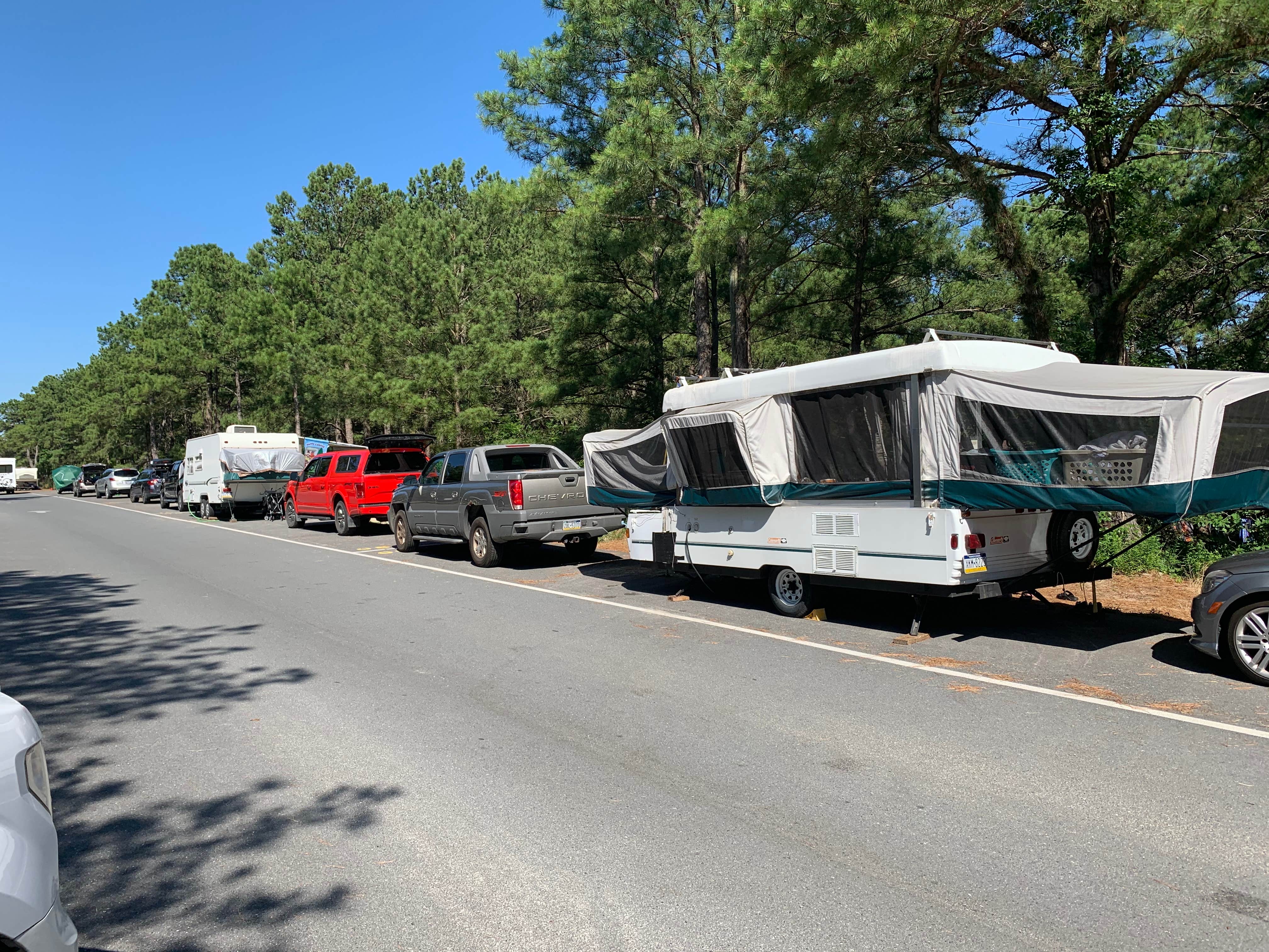 Laure D.'s photo of rv camping at Cape Henlopen State Park Campground near Dover, DE