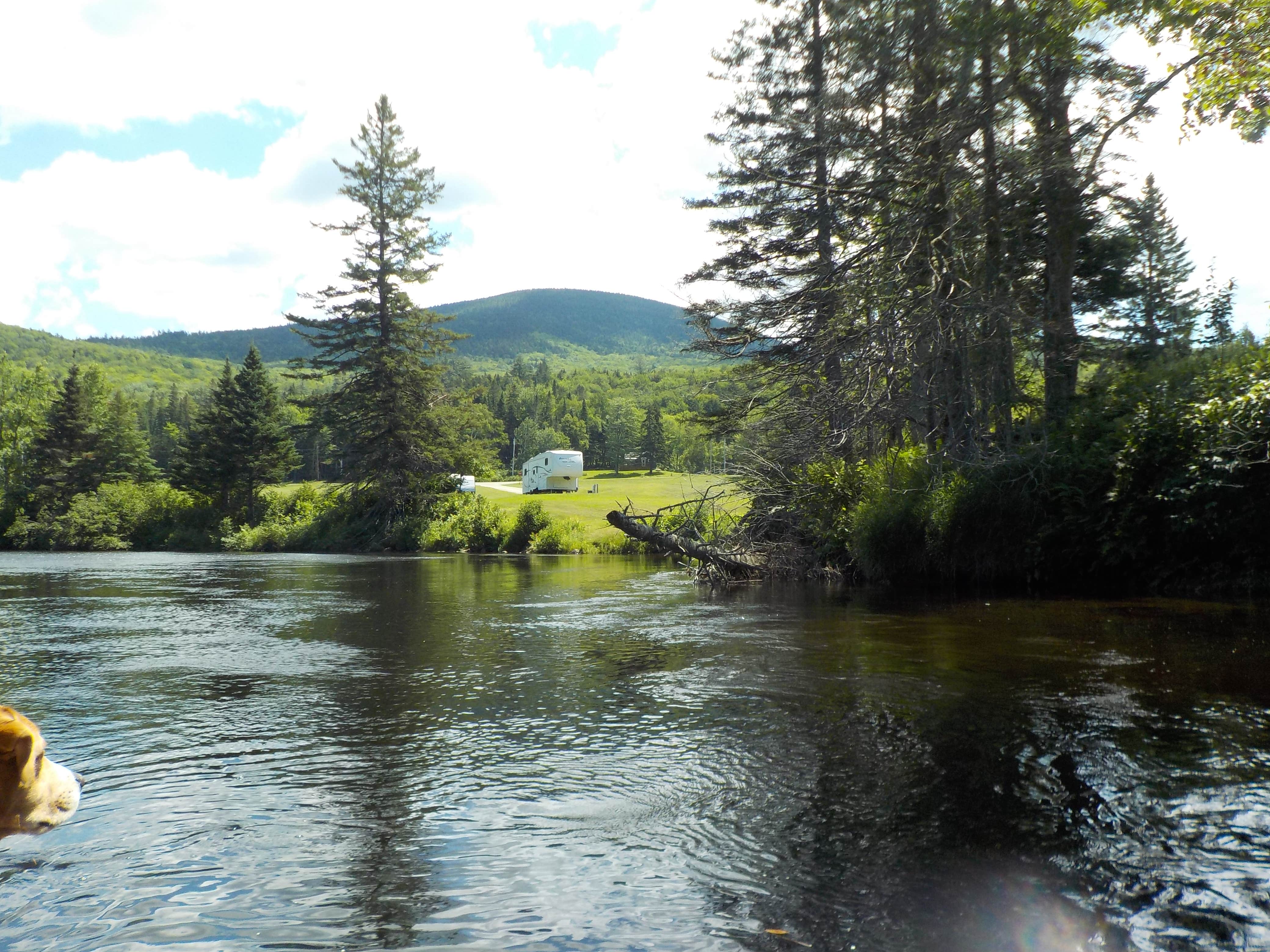 Sarah C.'s photo of camping with pets at Aziscoos Valley Camping Area near Eustis, ME