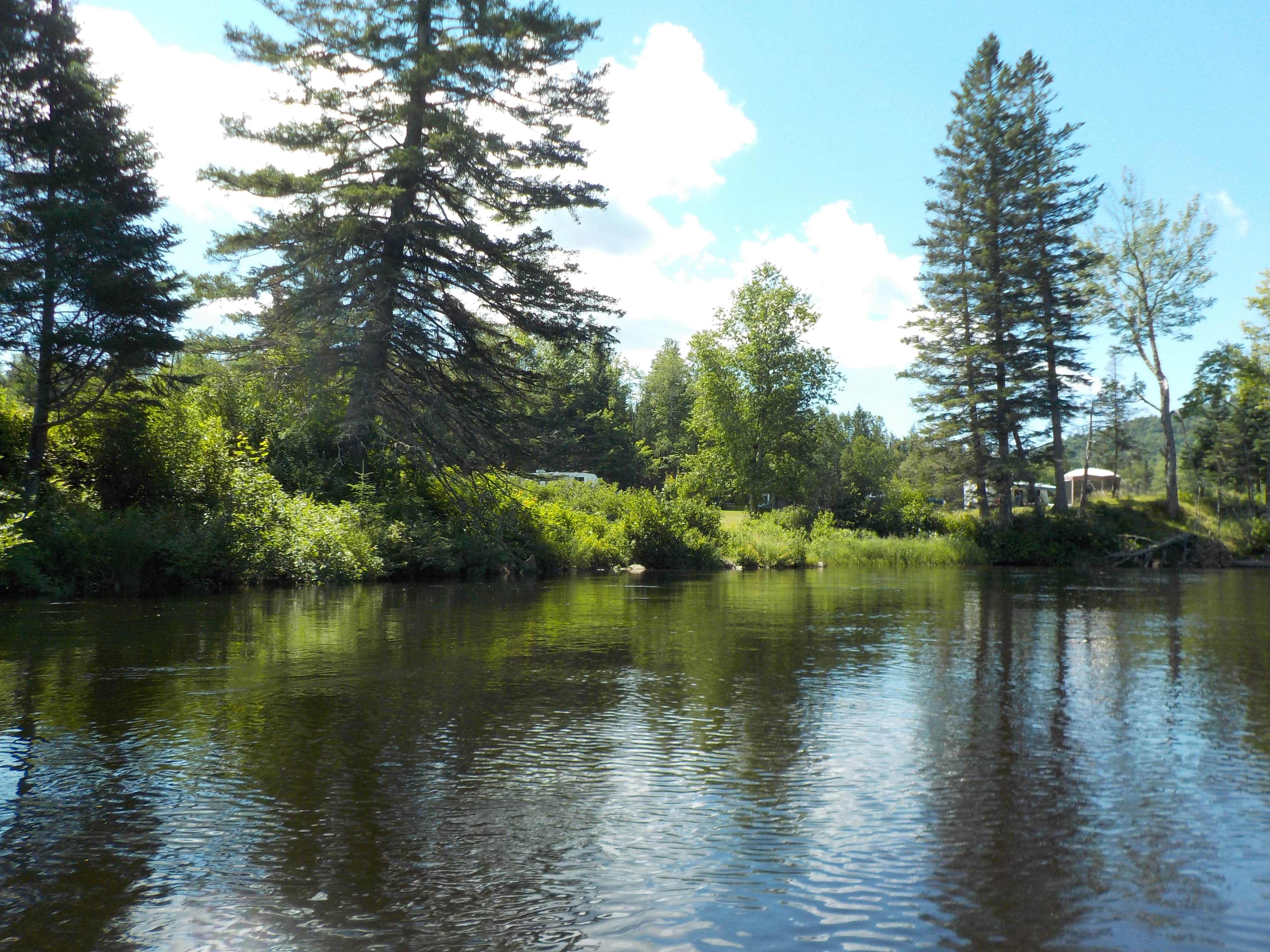 The campground from the river, through the trees.