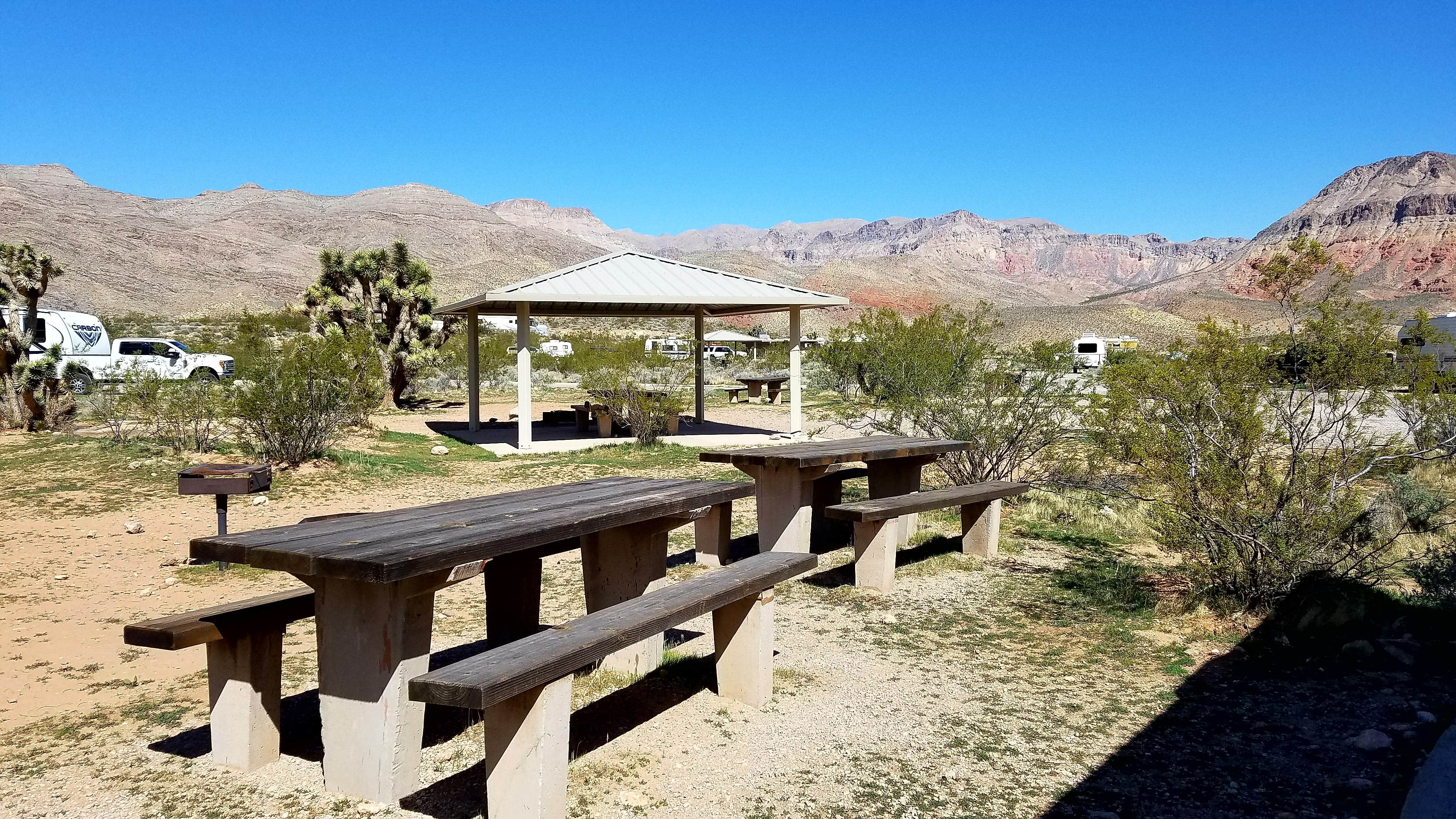 Camper submitted image from Virgin River Gorge (BLM) - 4