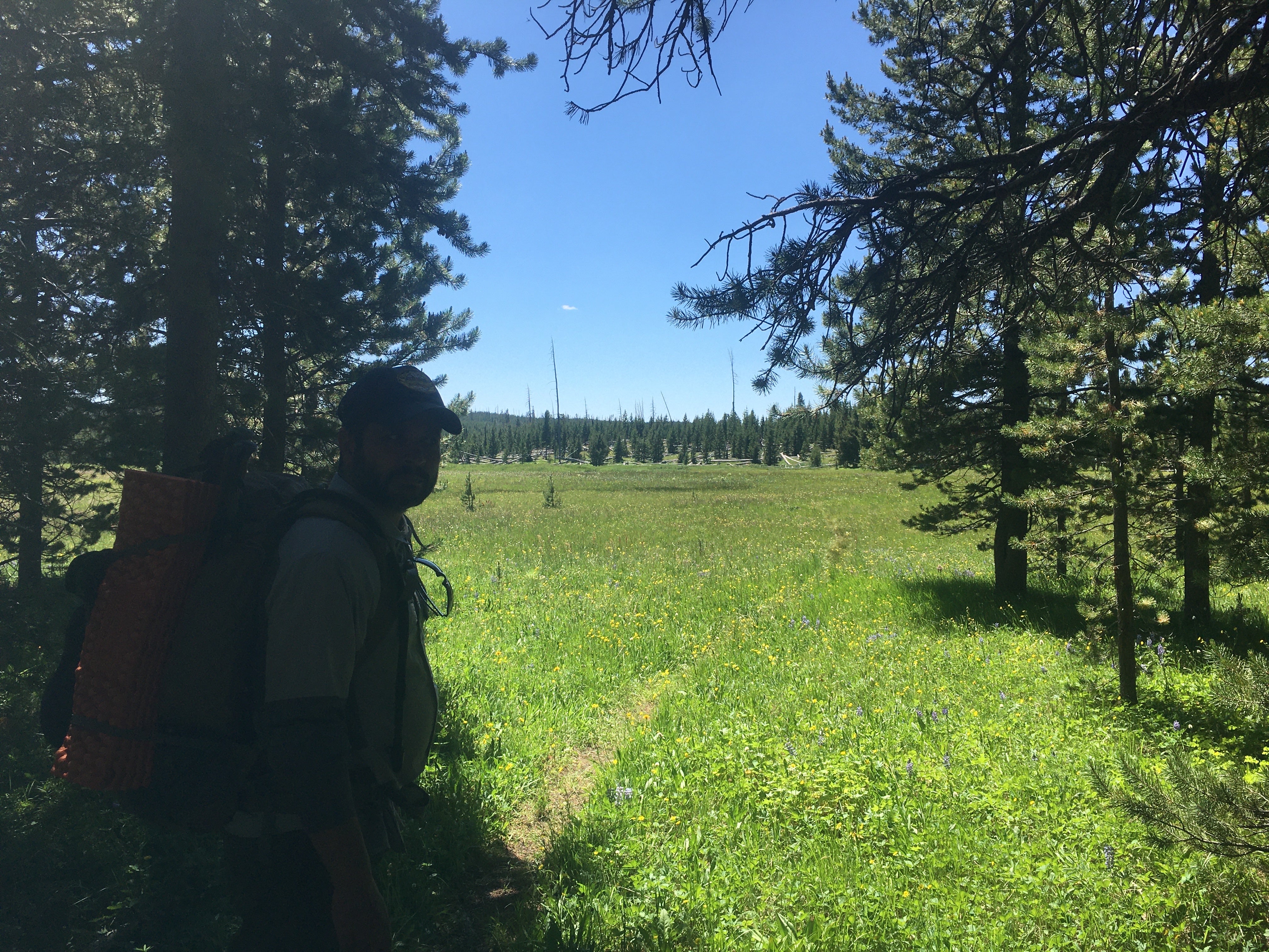 Camper submitted image from 4G7 Yellowstone National Park Backcountry — Yellowstone National Park - 5