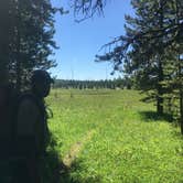 Review photo of Backcountry site 4G7 at Wolf Lake by Rachel A., July 28, 2020