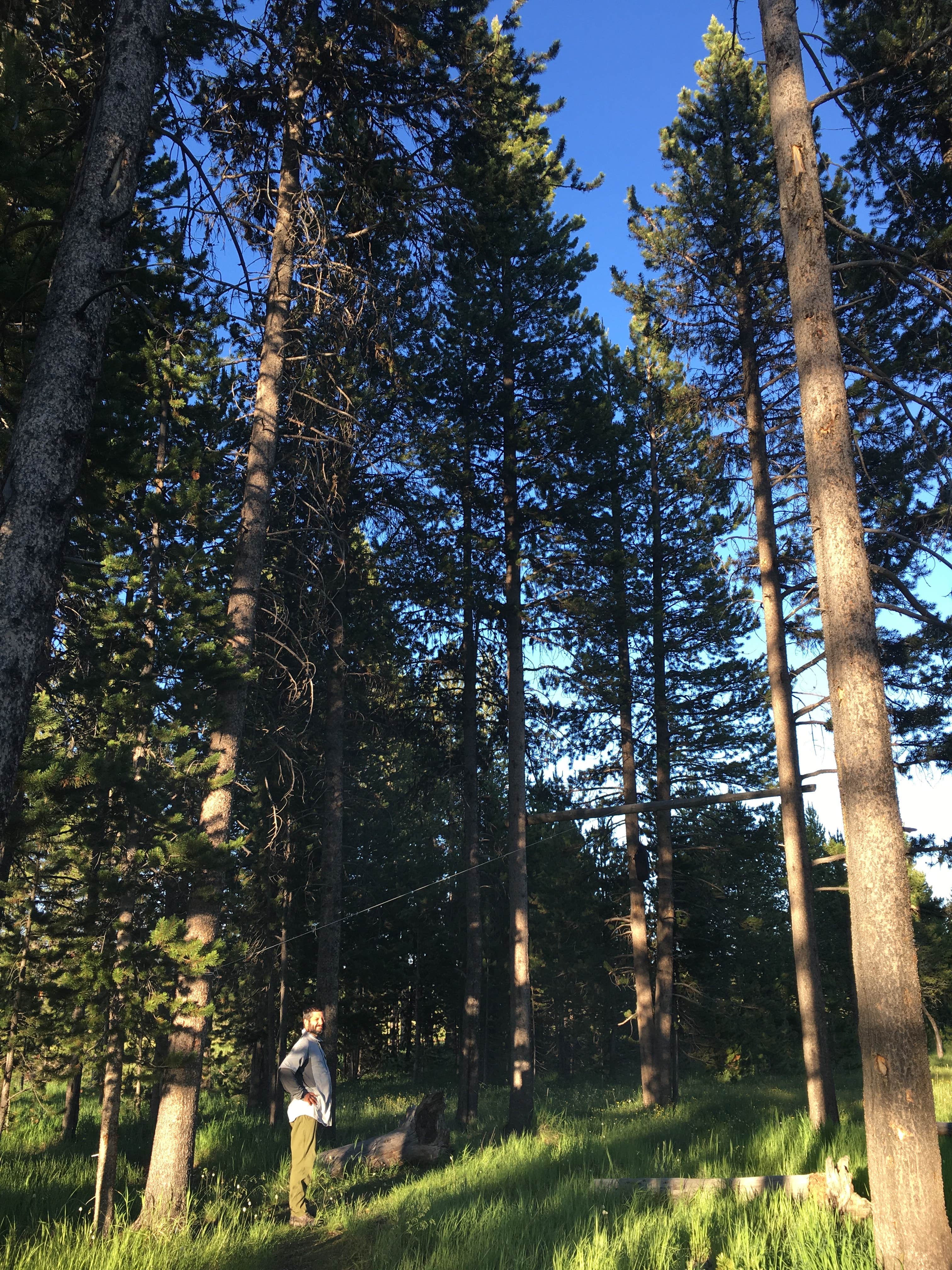 Camper-submitted photo at 4G7 Yellowstone National Park Backcountry — Yellowstone National Park near Yellowstone National Park