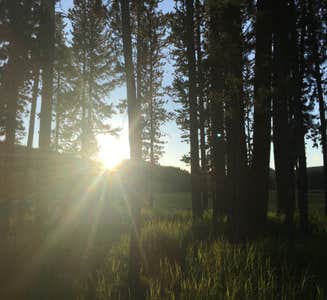Camper-submitted photo from 4G7 Yellowstone National Park Backcountry — Yellowstone National Park