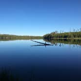 Review photo of 4D2 - Ice Lake East - Yellowstone NP Back Country campsite by Rachel A., July 28, 2020