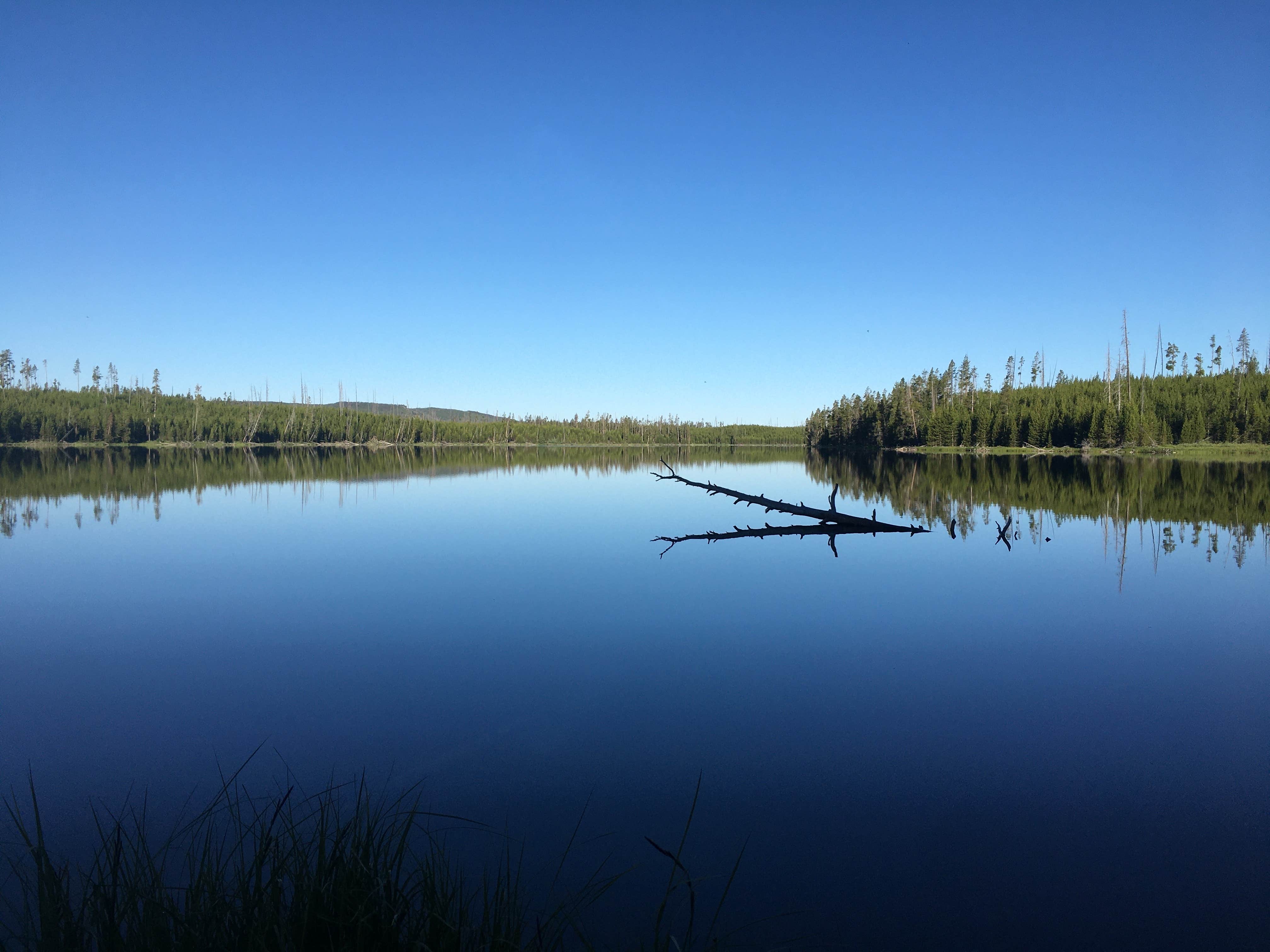 Camper submitted image from 4D2 - Ice Lake East - Yellowstone NP Back Country campsite - 3