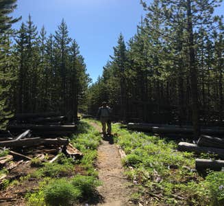 Camper-submitted photo from 4D2 Yellowstone National Park Backcountry — Yellowstone National Park