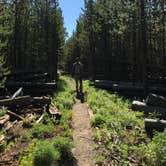 Review photo of 4D2 - Ice Lake East - Yellowstone NP Back Country campsite by Rachel A., July 28, 2020