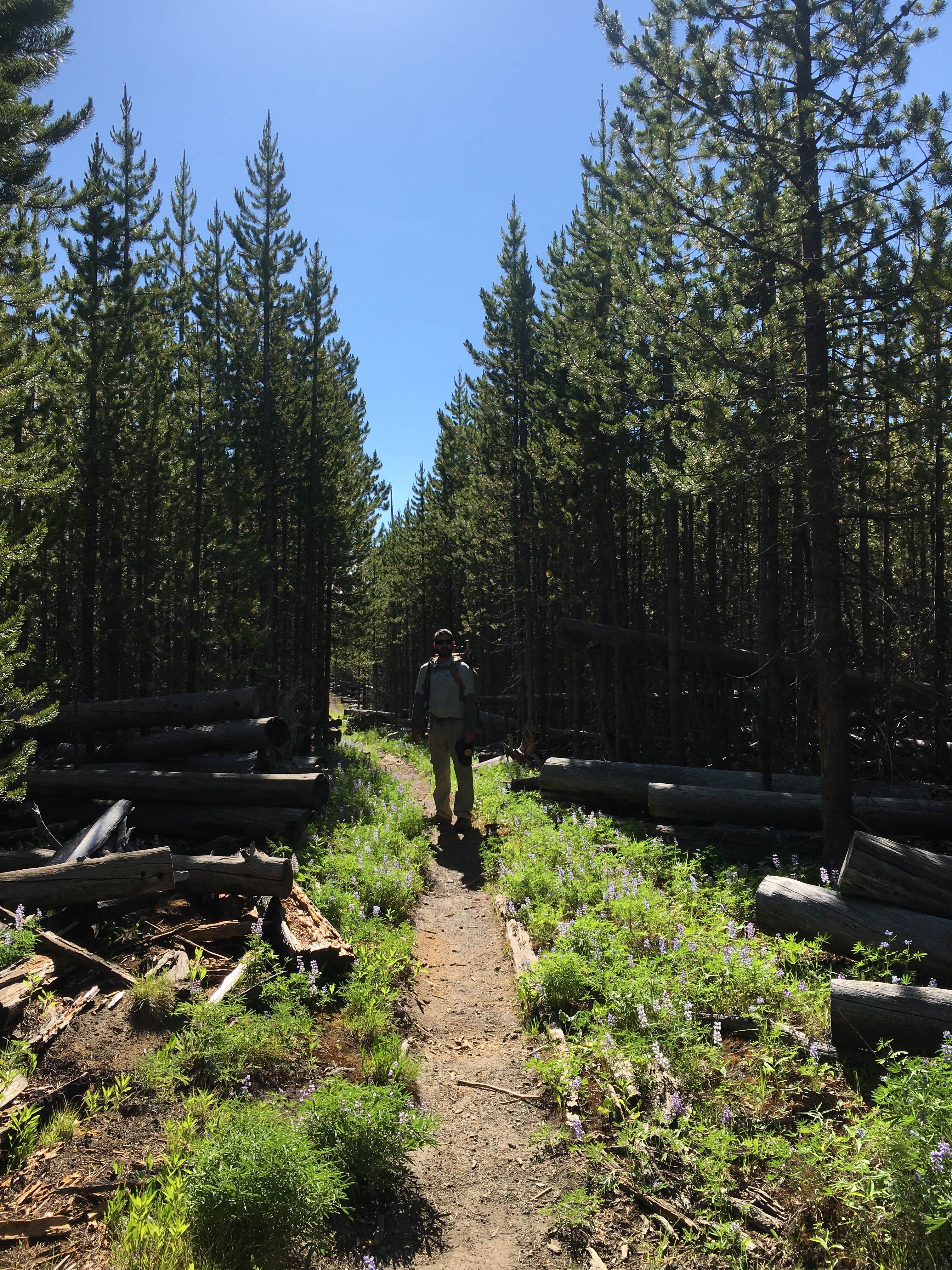 Camper submitted image from 4D2 Yellowstone National Park Backcountry — Yellowstone National Park - 3