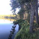 Review photo of 4D2 - Ice Lake East - Yellowstone NP Back Country campsite by Rachel A., July 28, 2020