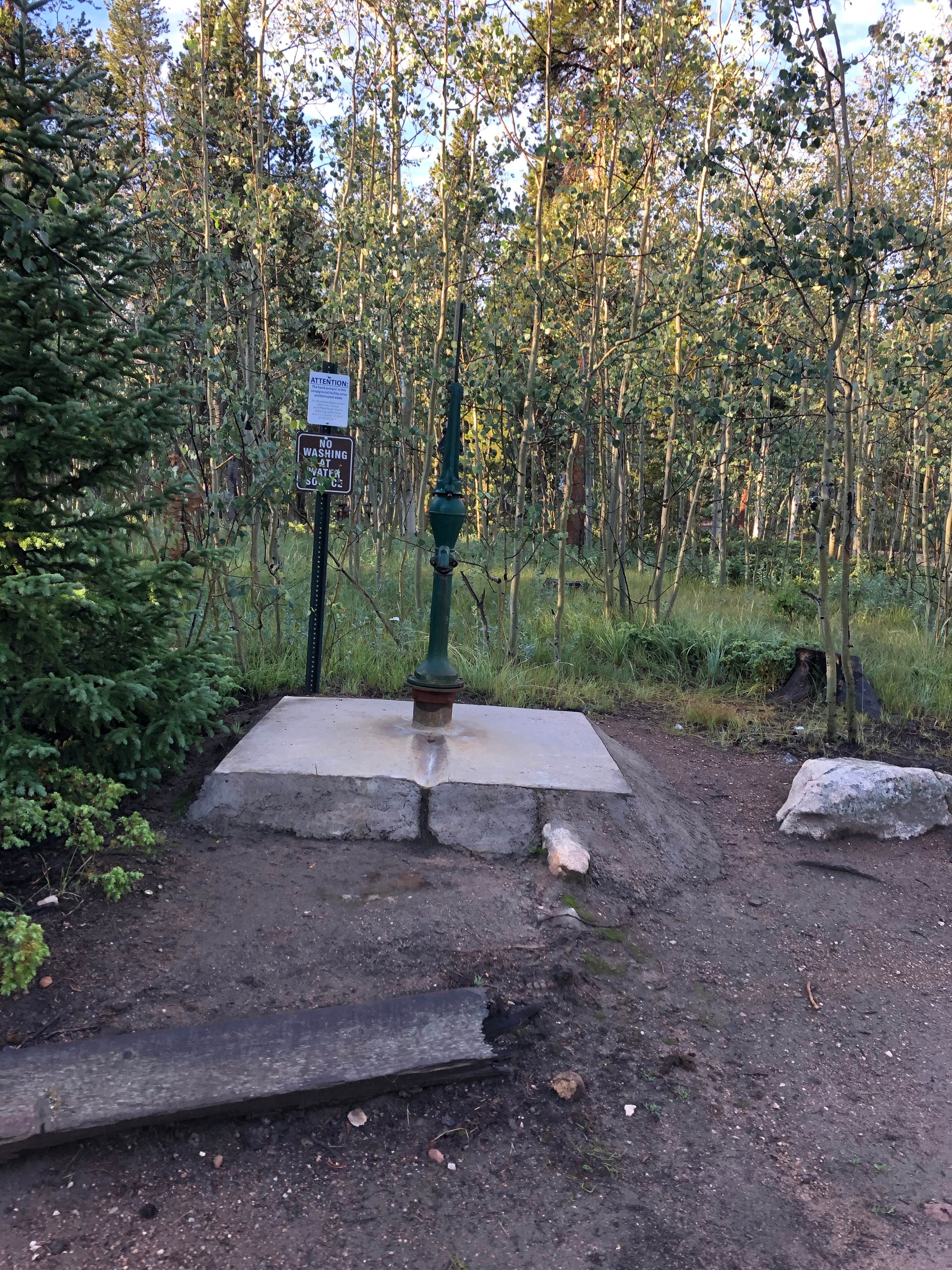 Camper submitted image from Kenosha Pass Campground - 3