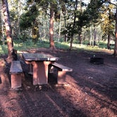 Review photo of Kenosha Pass Campground by Amanda M., July 28, 2020