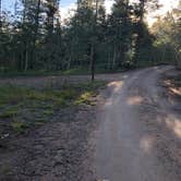 Review photo of Kenosha Pass Campground by Amanda M., July 28, 2020