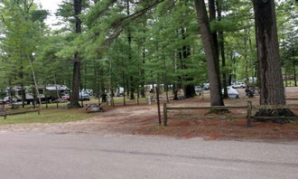 Camping near Gaylord KOA: Otsego Lake County Park, Gaylord, Michigan