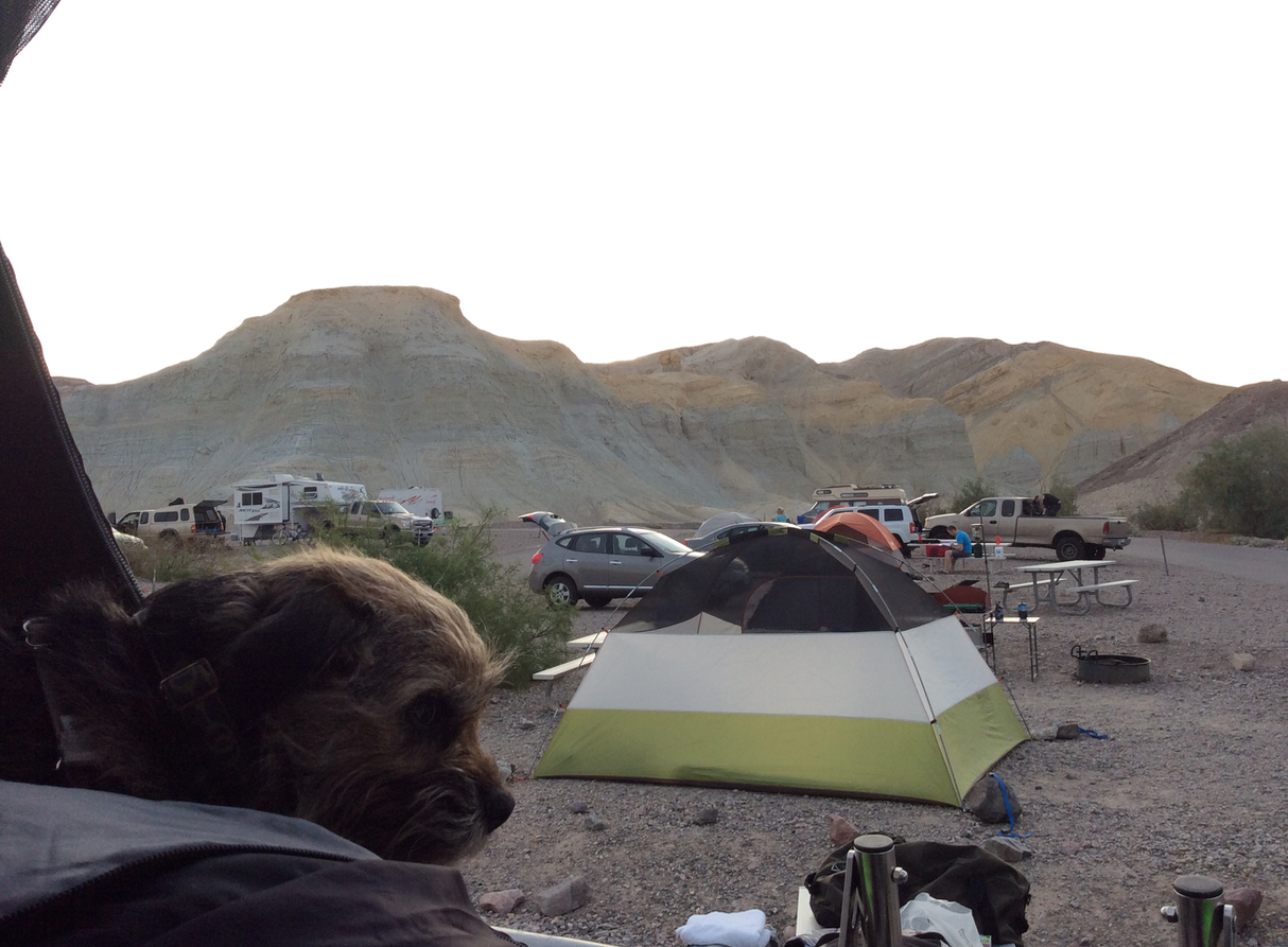 Camper submitted image from Texas Springs Campground — Death Valley National Park - 3