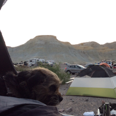 Review photo of Texas Springs Campground — Death Valley National Park by Kayko S., May 6, 2015